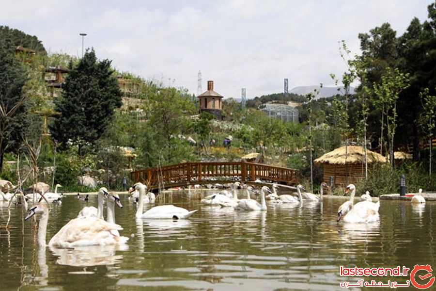  باغ پرندگان تهران 