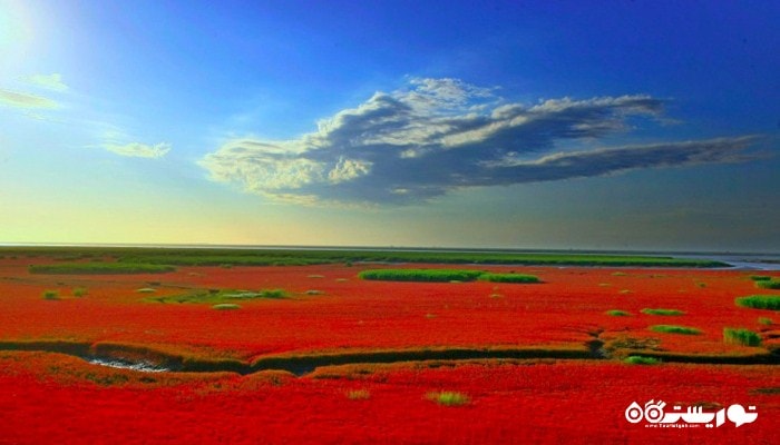 ساحل قرمز در کرانه رود لیائو ، کشور چین