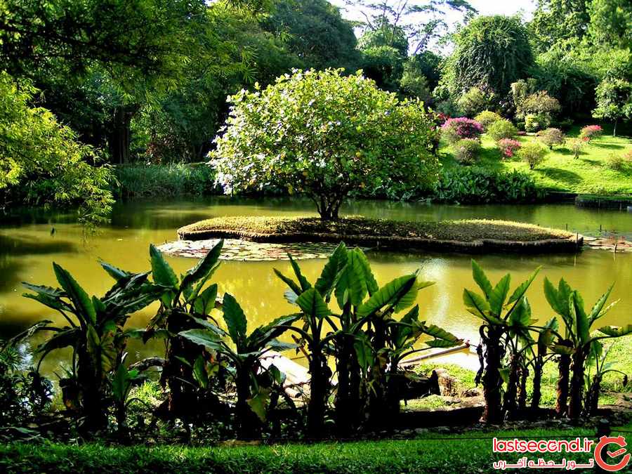 کندی، شهری با طبیعت زیبا در سریلانکا