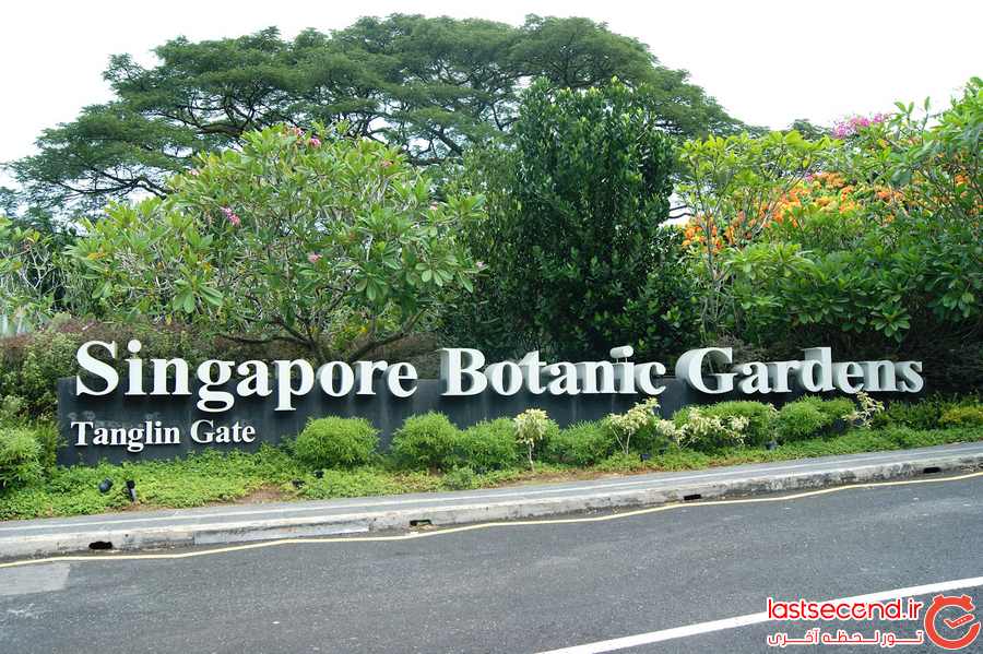  سنگاپور و کارهایی که باید انجام داد