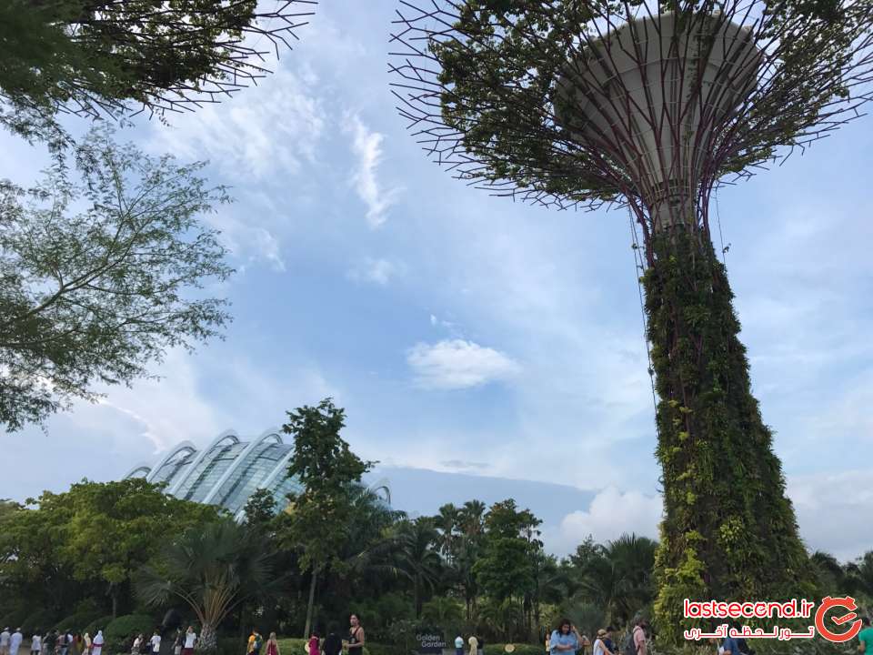 سنگاپور و مالزی