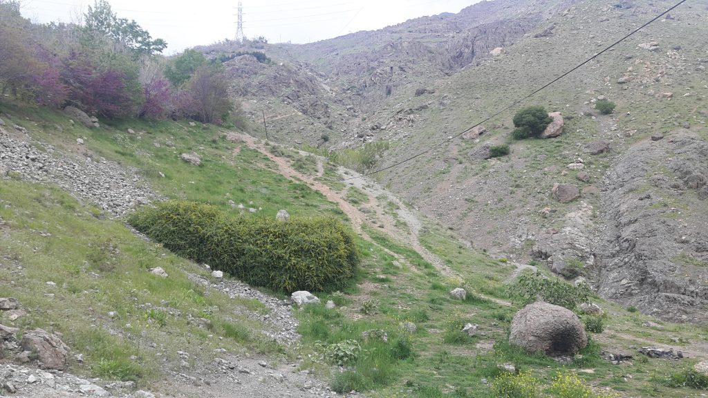 کوهنوردی در پارک جمشیدیه تهران
