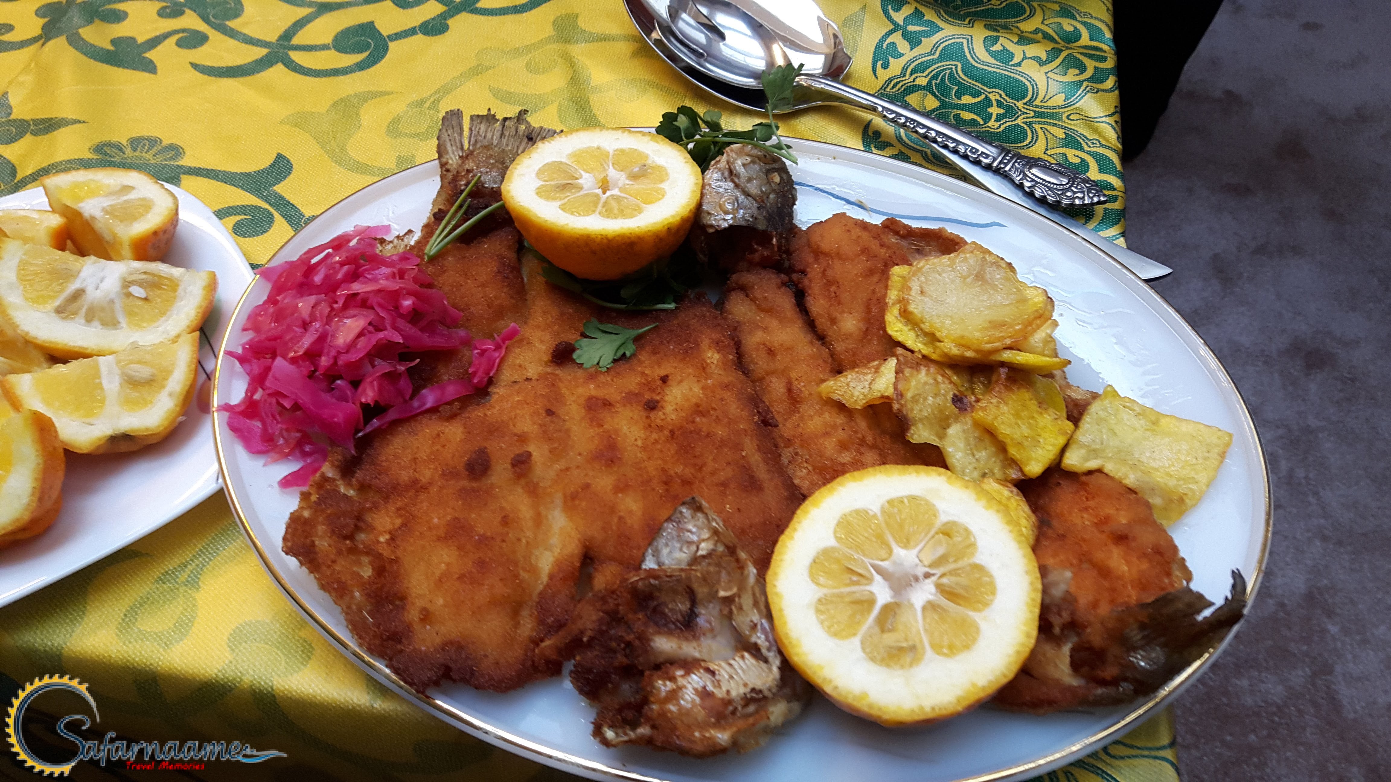 خوراک ماهی غزل