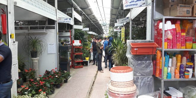 بازار گل محلاتی تهران در سایت سفرنامه